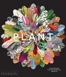  Plant: Exploring the Botanical World | Buch |  Sack Fachmedien
