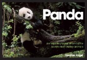 Angel |  Panda | eBook | Sack Fachmedien