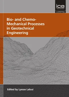 Laloui |  Bio- And Chemo- Mechanical Processes in Geotechnical Engineering | Buch |  Sack Fachmedien