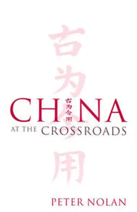 Nolan |  China at the Crossroads | eBook | Sack Fachmedien