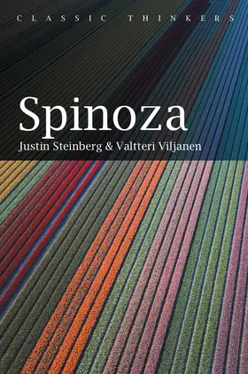 Steinberg |  Spinoza | Buch |  Sack Fachmedien