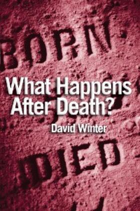 Winter |  What Happens After Death? | eBook | Sack Fachmedien
