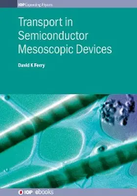 Ferry |  Transport in Semiconductor Mesoscopic Devices | eBook | Sack Fachmedien