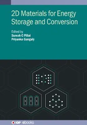 Pillai / Ganguly | 2D Materials for Energy Storage and Conversion | E-Book | www2.sack.de