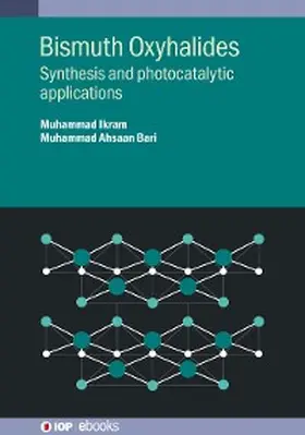 Ikram / Bari |  Bismuth Oxyhalides | eBook | Sack Fachmedien