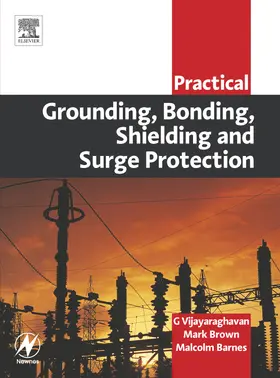 Vijayaraghavan / Brown / Barnes |  Practical Grounding, Bonding, Shielding and Surge Protection | Buch |  Sack Fachmedien