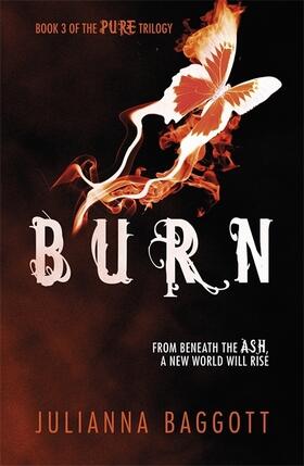 Baggott |  Burn | Buch |  Sack Fachmedien