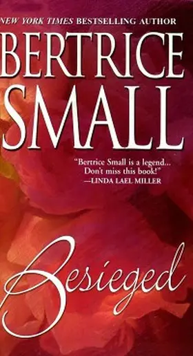 Small |  Besieged | eBook | Sack Fachmedien