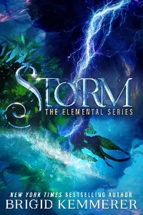 Kemmerer |  Storm | eBook | Sack Fachmedien
