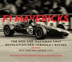 Biro / Levy |  F1 Mavericks | eBook | Sack Fachmedien