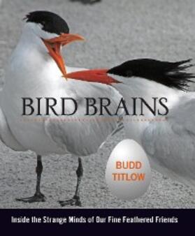 Titlow |  Bird Brains | eBook | Sack Fachmedien