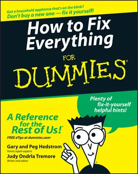 Hedstrom / Tremore |  How to Fix Everything for Dummies | Buch |  Sack Fachmedien