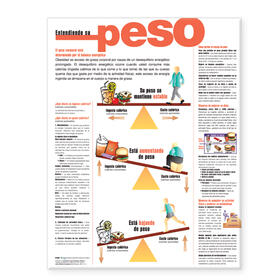  Understanding Your Weight Anatomical Chart in Spanish (Entendiendo su peso) | Sonstiges |  Sack Fachmedien