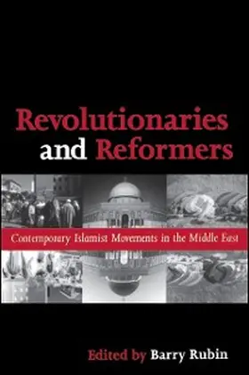 Rubin |  Revolutionaries and Reformers | eBook | Sack Fachmedien