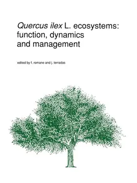 Terradas / Romane |  Quercus ilex L. ecosystems: function, dynamics and management | Buch |  Sack Fachmedien