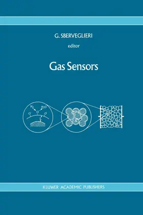 Sberveglieri |  Gas Sensors | Buch |  Sack Fachmedien