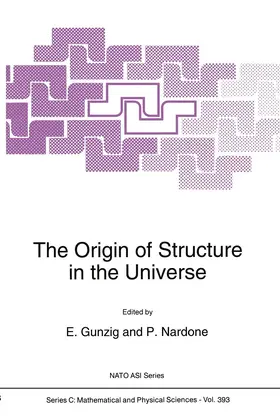 Nardone / Gunzig |  The Origin of Structure in the Universe | Buch |  Sack Fachmedien
