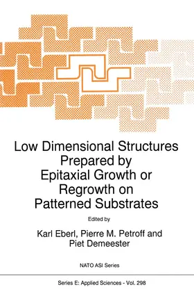 Eberl / Demeester / Petroff |  Low Dimensional Structures Prepared by Epitaxial Growth or Regrowth on Patterned Substrates | Buch |  Sack Fachmedien