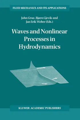 Grue / Gjevik / Weber |  Waves and Nonlinear Processes in Hydrodynamics | Buch |  Sack Fachmedien