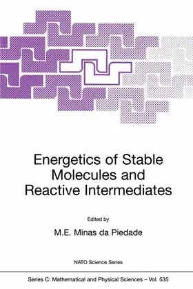 Minas da Piedade | Energetics of Stable Molecules and Reactive Intermediates | Buch | 978-0-7923-5740-7 | sack.de