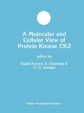 Ahmed / Chambaz / Issinger |  A Molecular and Cellular View of Protein Kinase CK2 | Buch |  Sack Fachmedien