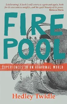 Twidle |  Firepool | eBook | Sack Fachmedien