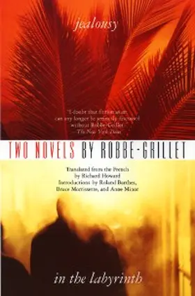 Robbe-Grillet |  Two Novels: Jealousy and In the Labyrinth | eBook | Sack Fachmedien