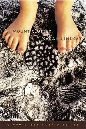 Lindsay |  Mount Clutter | eBook | Sack Fachmedien
