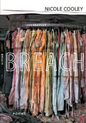 Campanella |  Breach | eBook | Sack Fachmedien