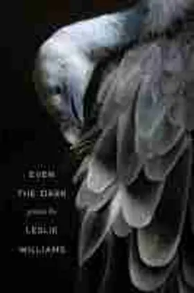 Williams |  Even the Dark | Buch |  Sack Fachmedien