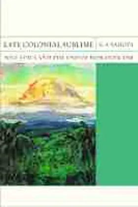 Sahota |  Late Colonial Sublime | Buch |  Sack Fachmedien