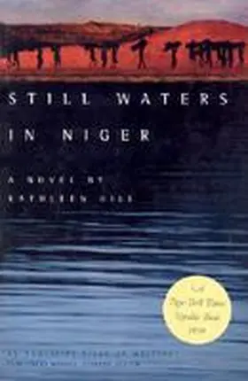Hill |  Still Waters in Niger | Buch |  Sack Fachmedien