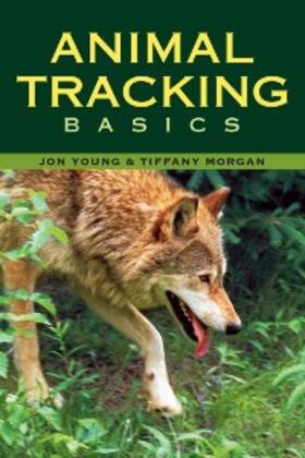 Morgan / Young |  Animal Tracking Basics | eBook | Sack Fachmedien