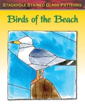 Allison |  Birds of the Beach | eBook | Sack Fachmedien