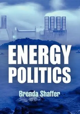 Shaffer |  Energy Politics | eBook | Sack Fachmedien
