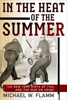 Flamm |  In the Heat of the Summer | eBook | Sack Fachmedien