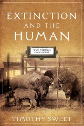 Sweet |  Extinction and the Human | eBook | Sack Fachmedien
