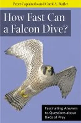 Capainolo / Butler |  How Fast Can a Falcon Dive? | Buch |  Sack Fachmedien