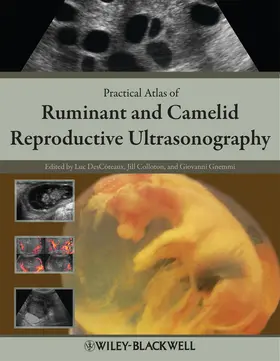 DesCôteaux / Colloton / Gnemmi |  Practical Atlas of Ruminant and Camelid Reproductive Ultrasonography | Buch |  Sack Fachmedien