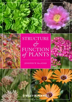 MacAdam |  Structure and Function of Plants | Buch |  Sack Fachmedien