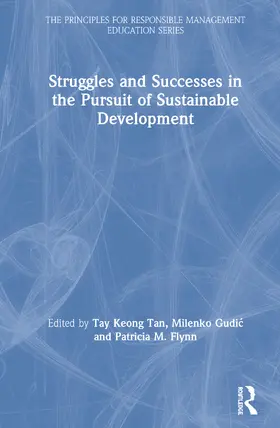 Tan / Gudic / Flynn |  Struggles and Successes in the Pursuit of Sustainable Development | Buch |  Sack Fachmedien