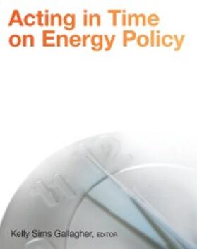 Gallagher |  Acting in Time on Energy Policy | eBook | Sack Fachmedien