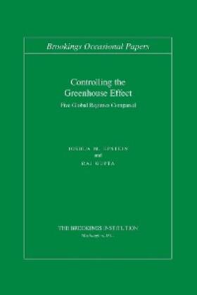 Epstein / Gupta |  Controlling the Greenhouse Effect | eBook | Sack Fachmedien