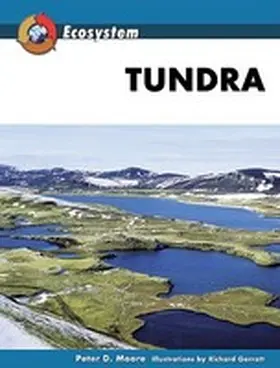 Moore |  Tundra | Buch |  Sack Fachmedien