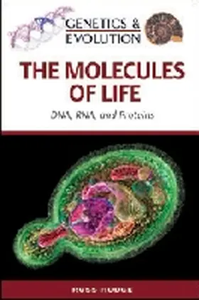 Hodge |  The Molecules of Life | Buch |  Sack Fachmedien