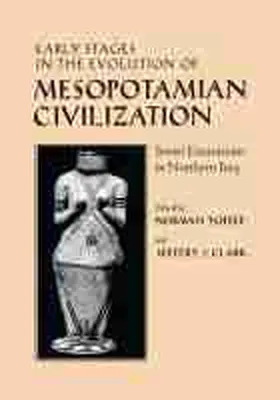 Yoffee / Clark |  Early Stages in the Evolution of Mesopotamian Civilization | Buch |  Sack Fachmedien