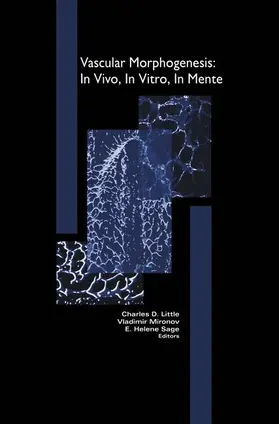 Mironov / Little / Sage |  Vascular Morphogenesis: In Vivo, in Vitro, in Mente | Buch |  Sack Fachmedien