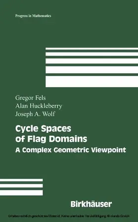 Fels / Huckleberry / Wolf |  Cycle Spaces of Flag Domains | eBook | Sack Fachmedien