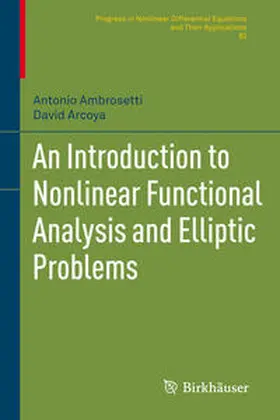 Ambrosetti / Arcoya Álvarez |  An Introduction to Nonlinear Functional Analysis and Elliptic Problems | Buch |  Sack Fachmedien
