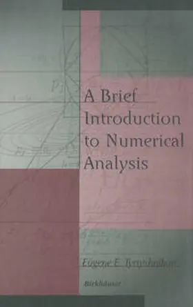 Tyrtyshnikov | A Brief Introduction to Numerical Analysis | E-Book | sack.de